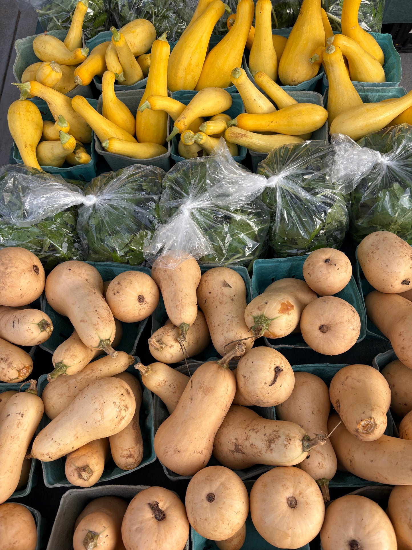 Butternut squash
