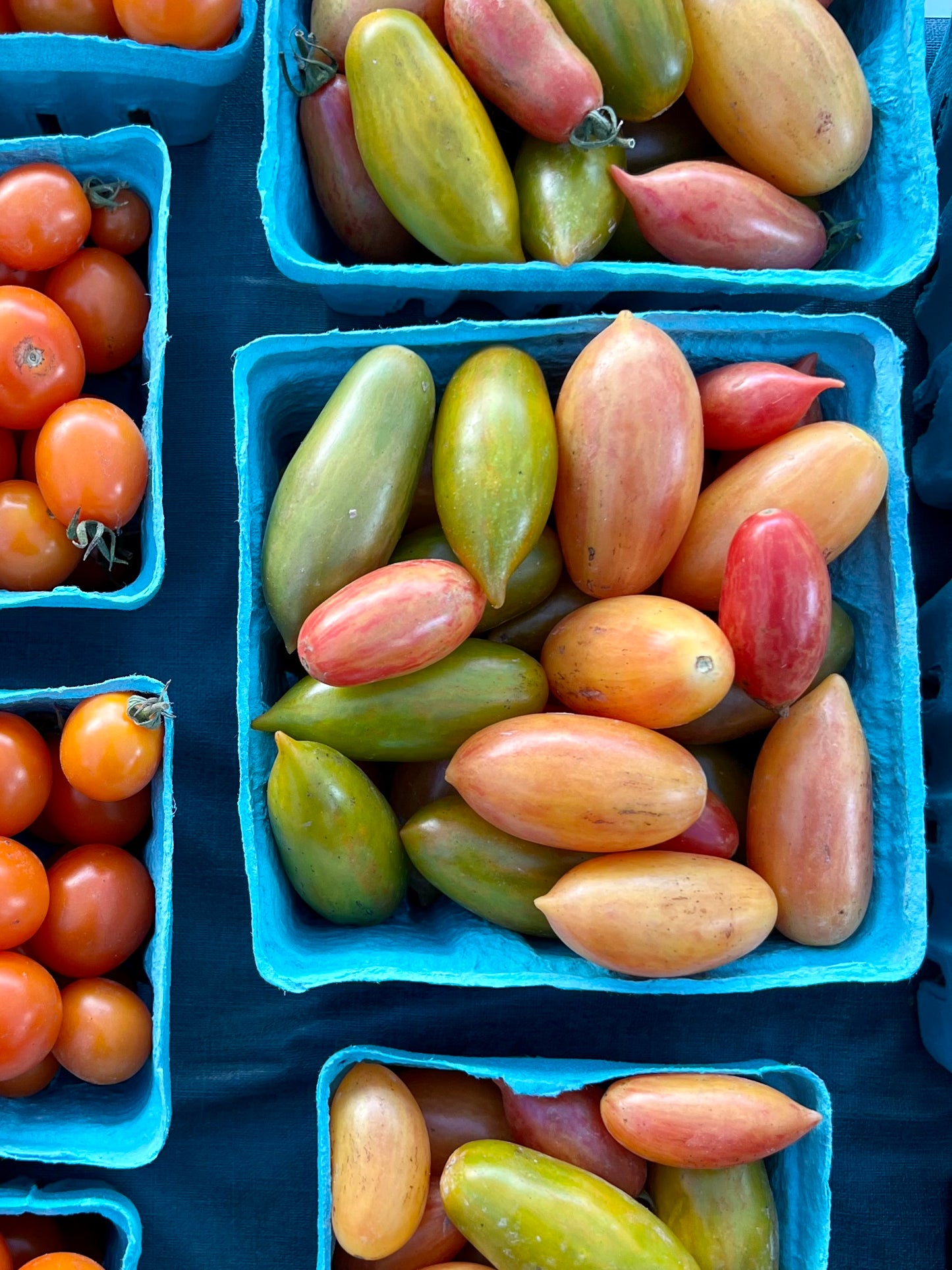 Tiger tomato mix