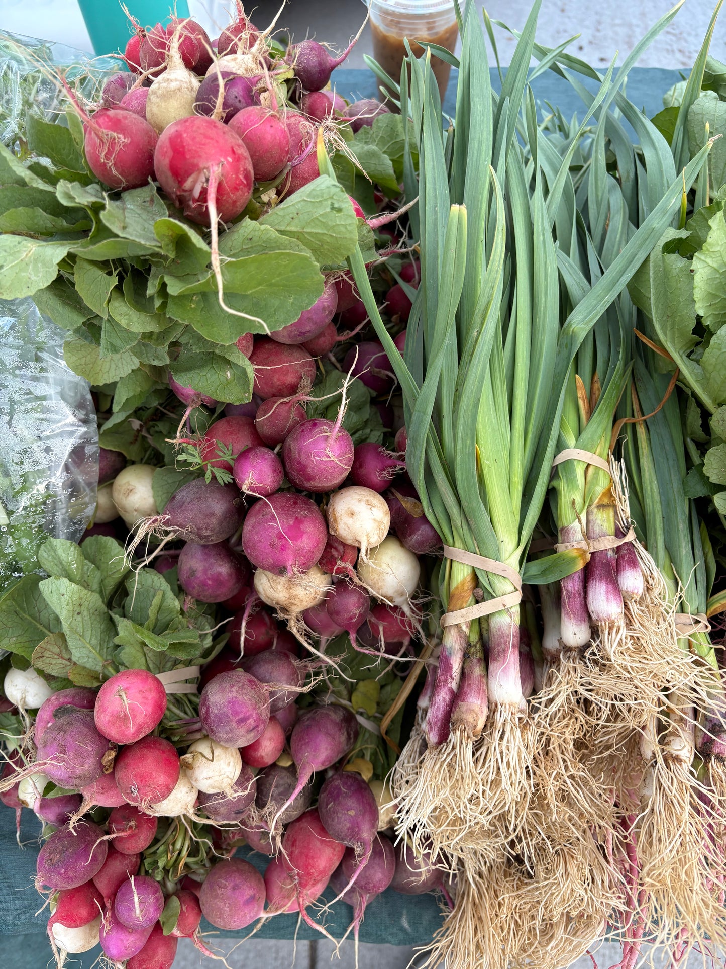 Green garlic