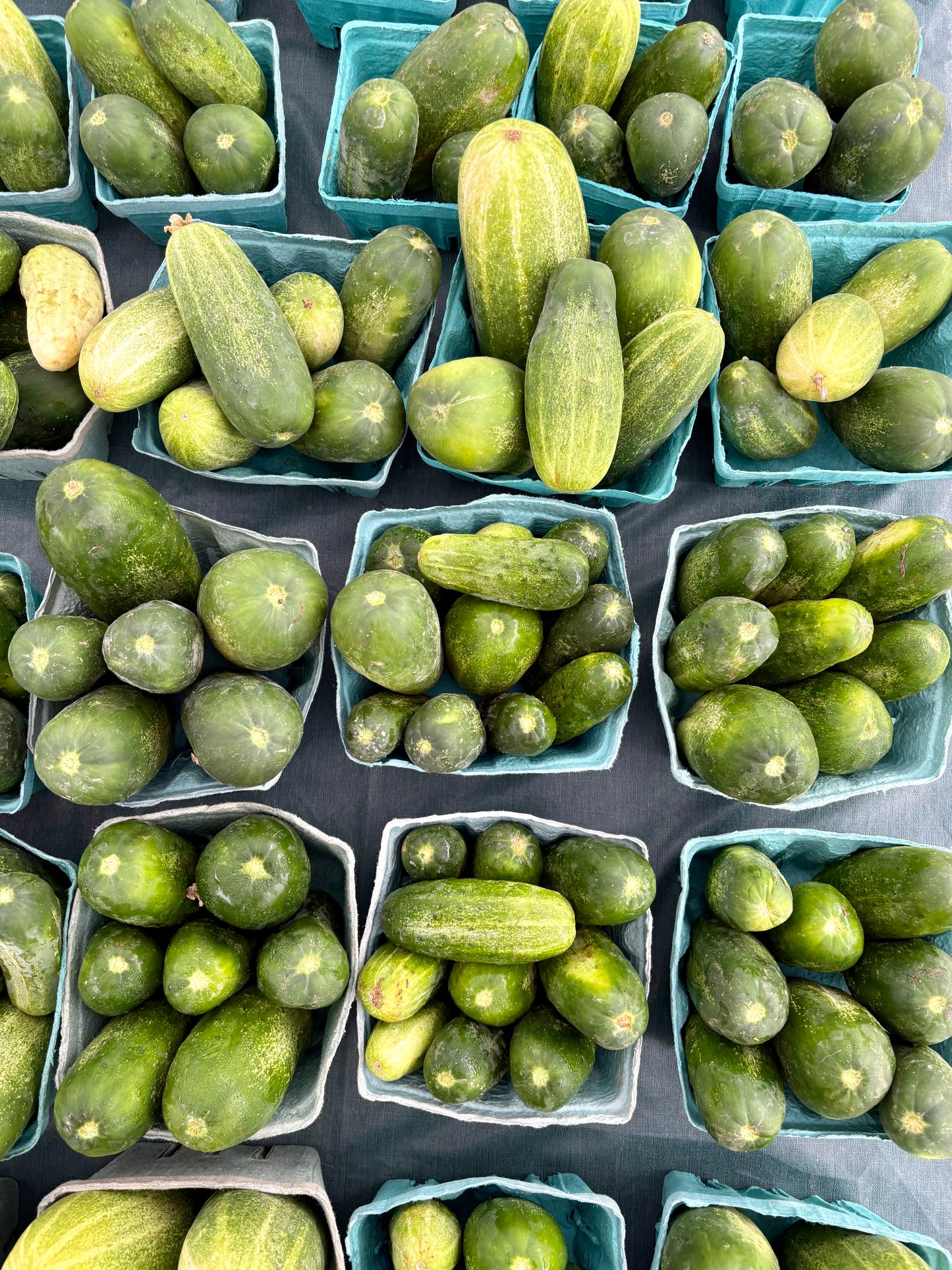 Cucumbers