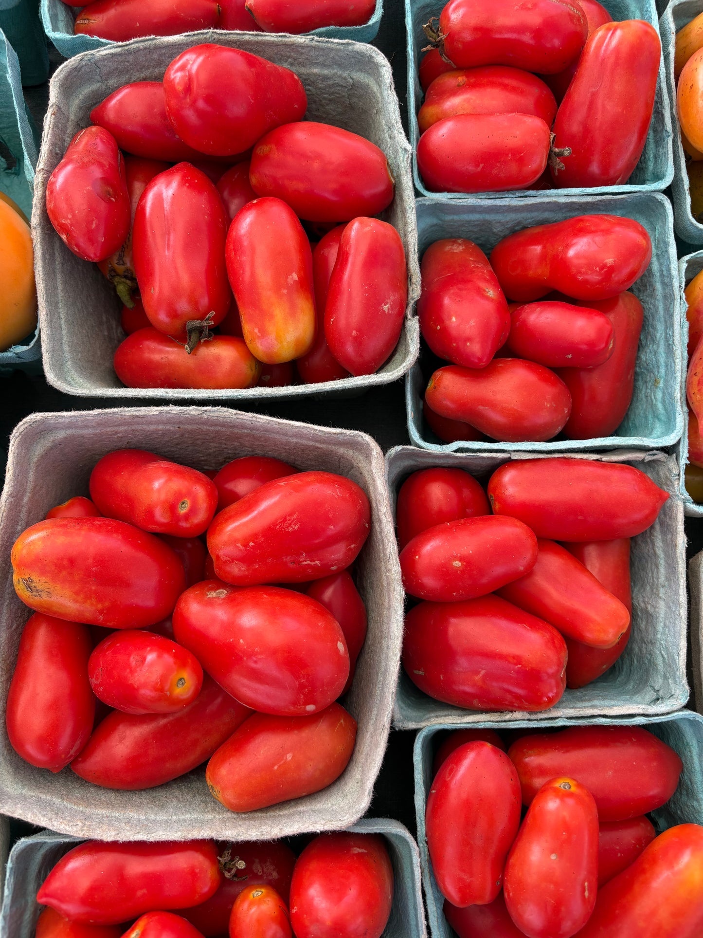 Roma Tomatoes