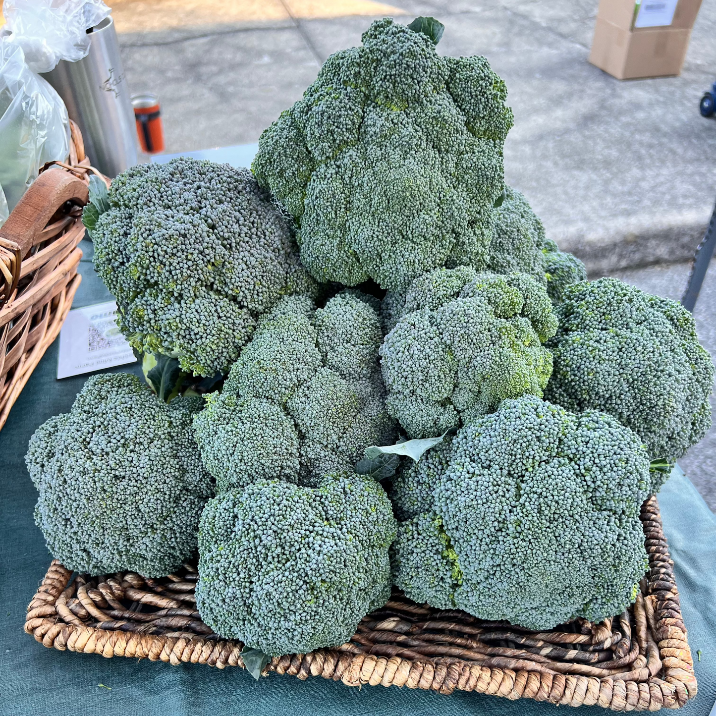 Broccoli (restaurant)