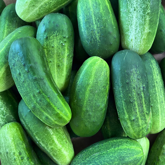 Cucumbers