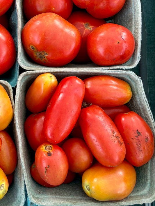 Roma Tomatoes