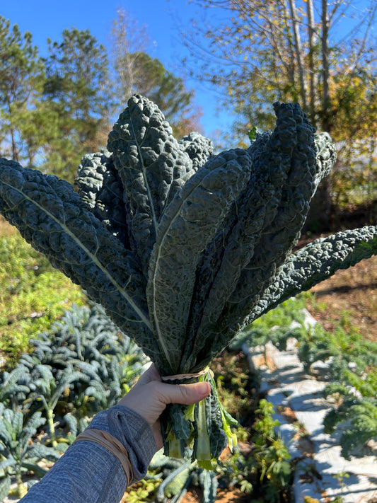 Lacinato Kale
