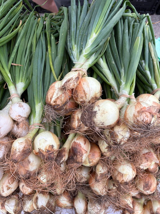 Onions