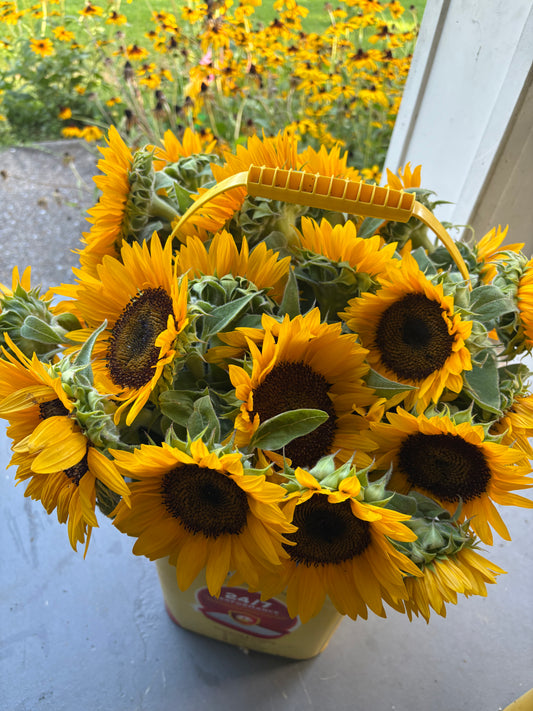 Sunflowers