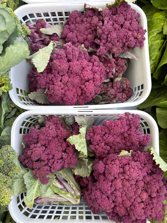 Cauliflower- sprouted purple
