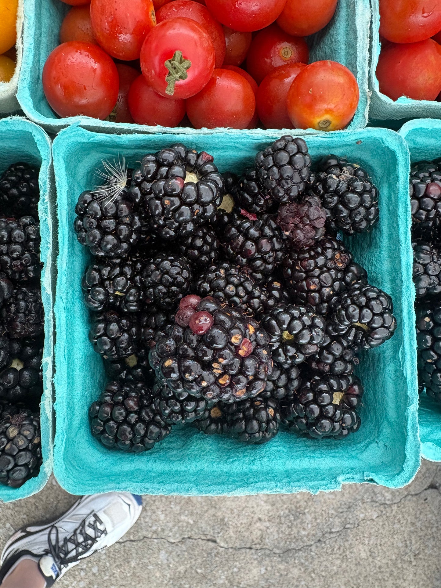 Blackberries