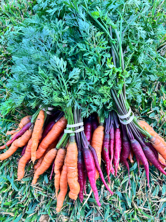 Carrots